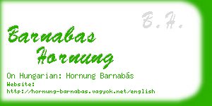 barnabas hornung business card
