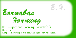 barnabas hornung business card